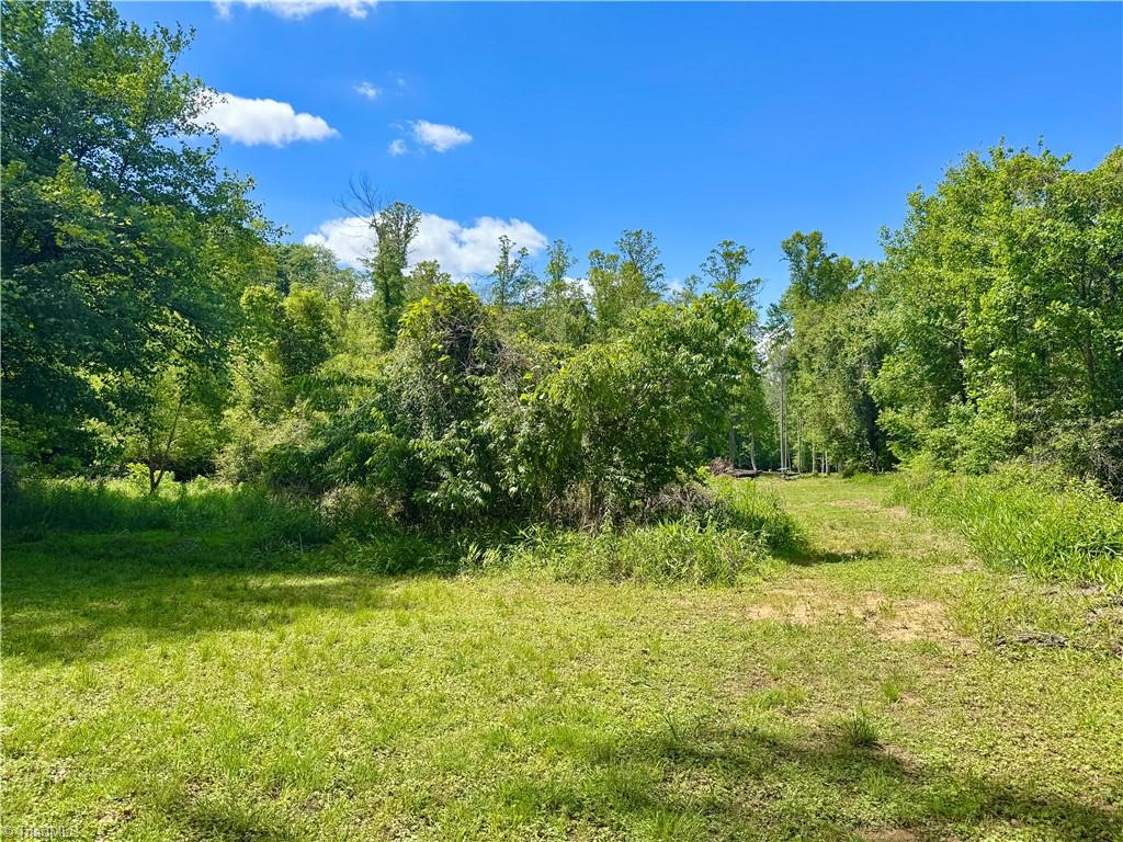 405 Brown Road King, NC 27021 - Photo 9 of 13
