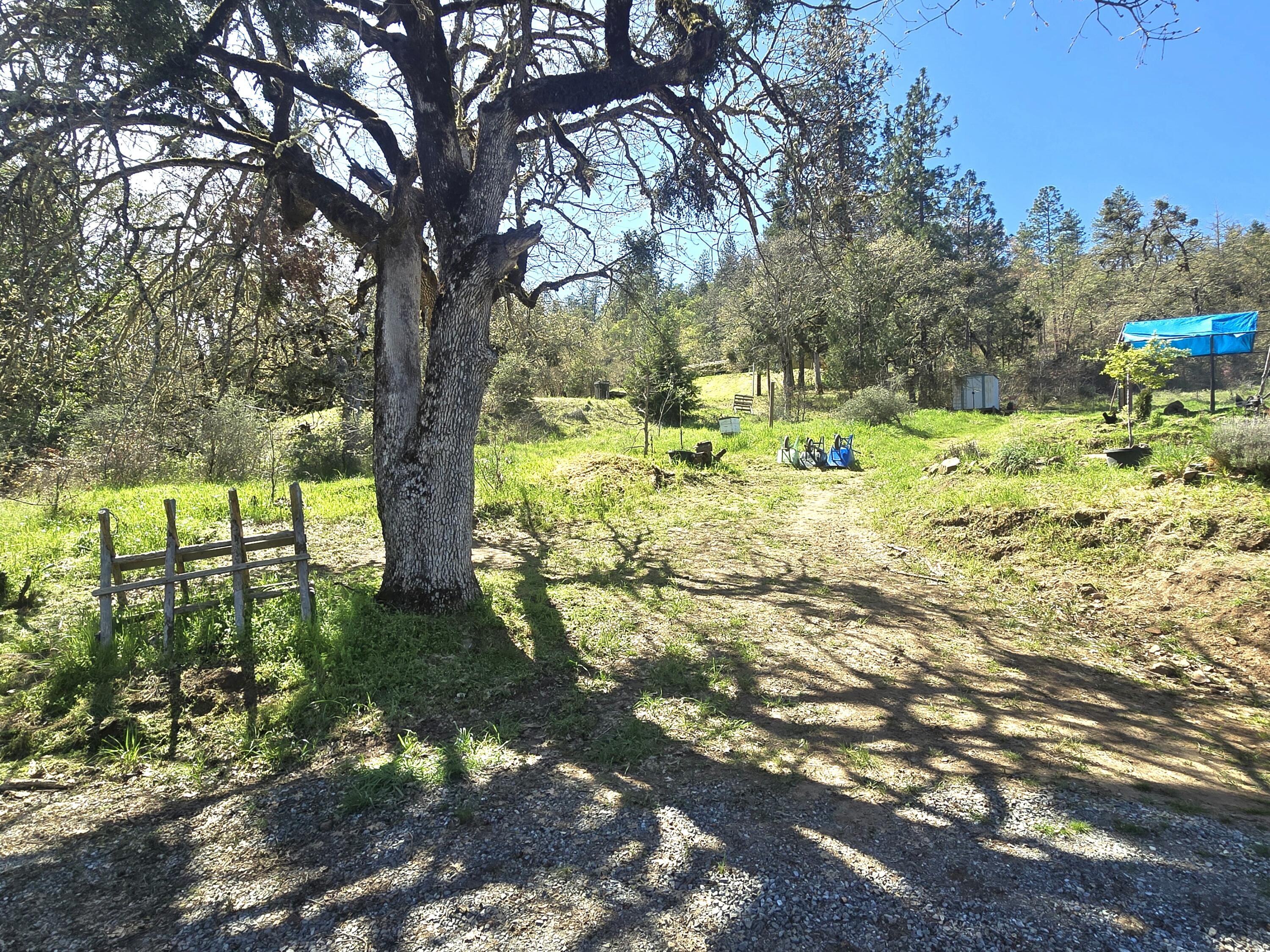 12726 Water Gap Road Williams, OR 97544 - Photo 42 of 47
