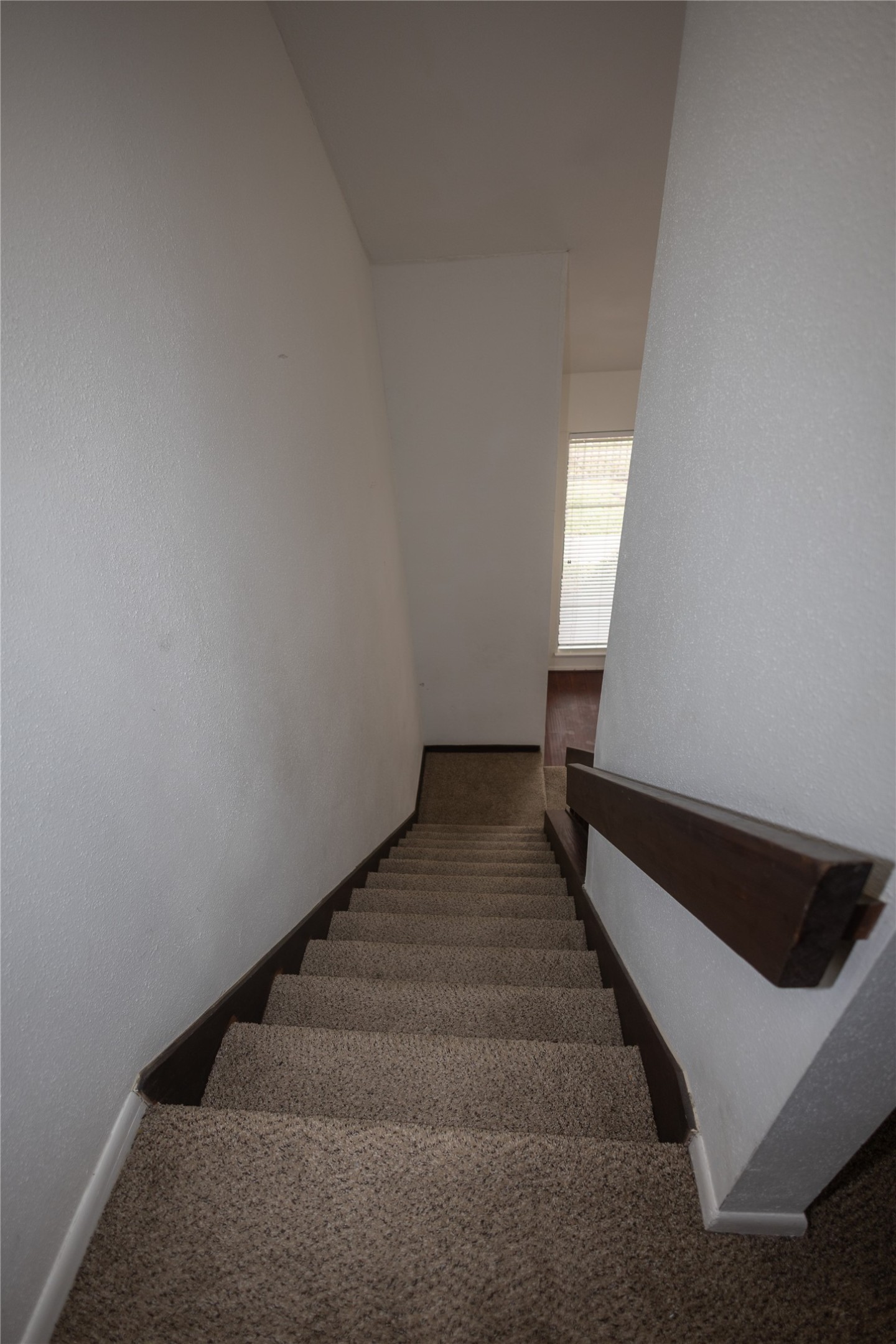 8100 Cambridge Street, Unit 89 Houston, TX 77054 - Photo 24 of 41 Alternate descending view of the carpeted stairs .