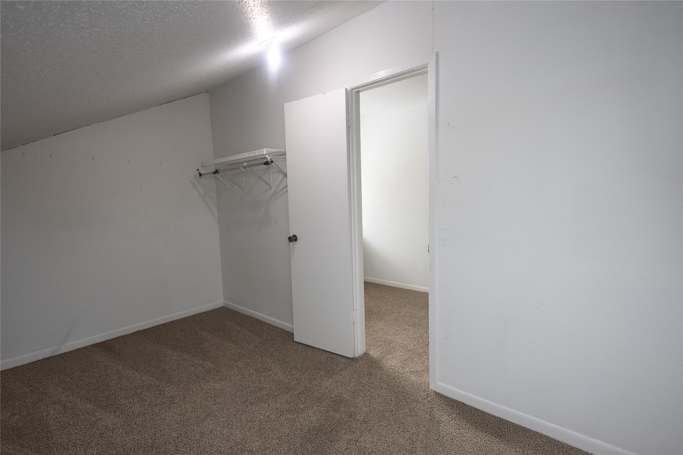 8100 Cambridge Street, Unit 89 Houston, TX 77054 - Photo 34 of 41 Primary bedrooms walk in closet.