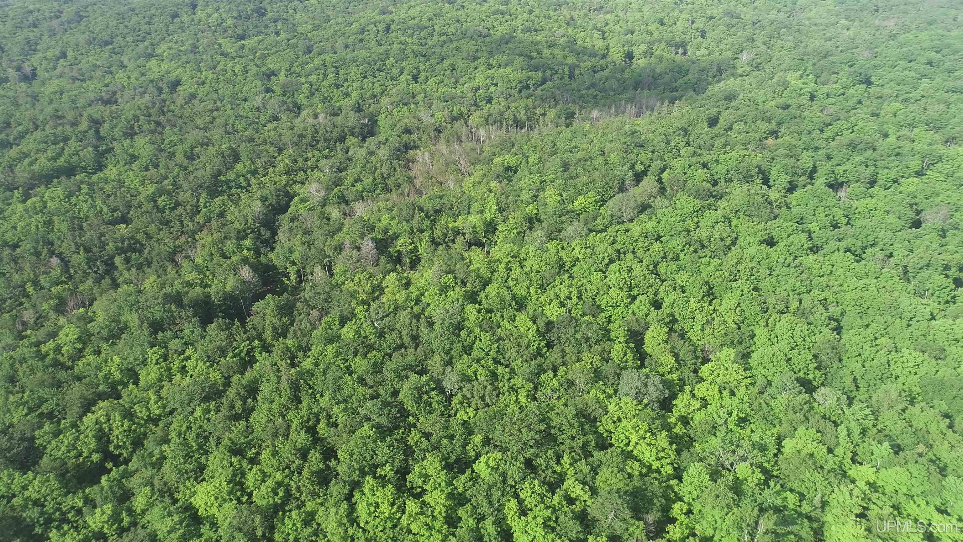510 Rd Ishpeming Mi 49849 Road Negaunee, MI 49866 - Photo 25 of 33