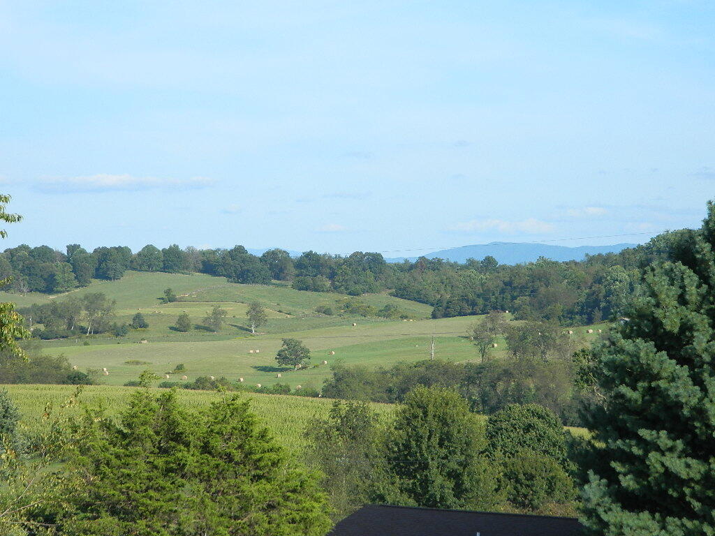 15095 Peaceful Valley Road Abingdon, VA 24210 - Photo 16 of 43 Gallery Image 16