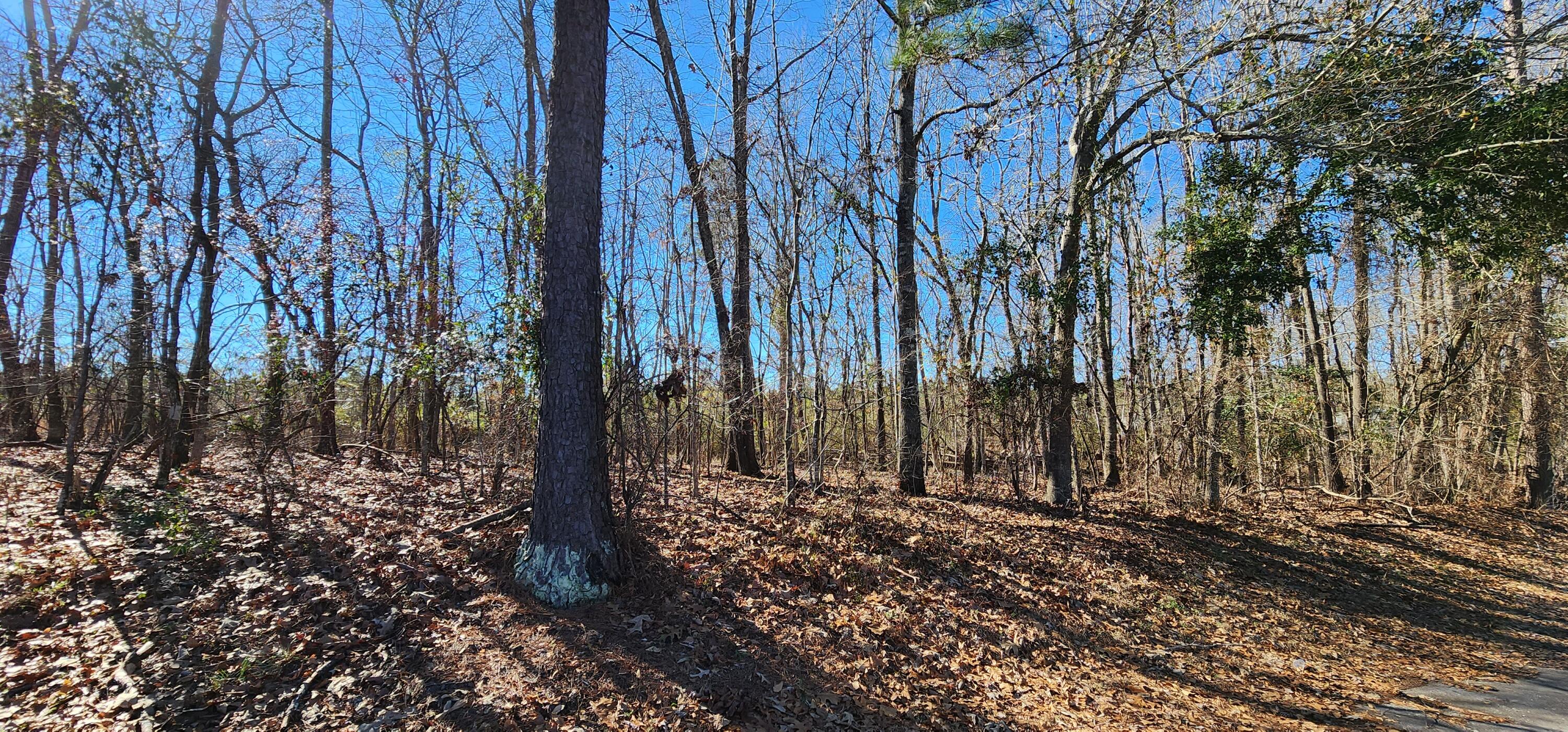 Lot 16 & 17 Ridgecrest Ct (1)