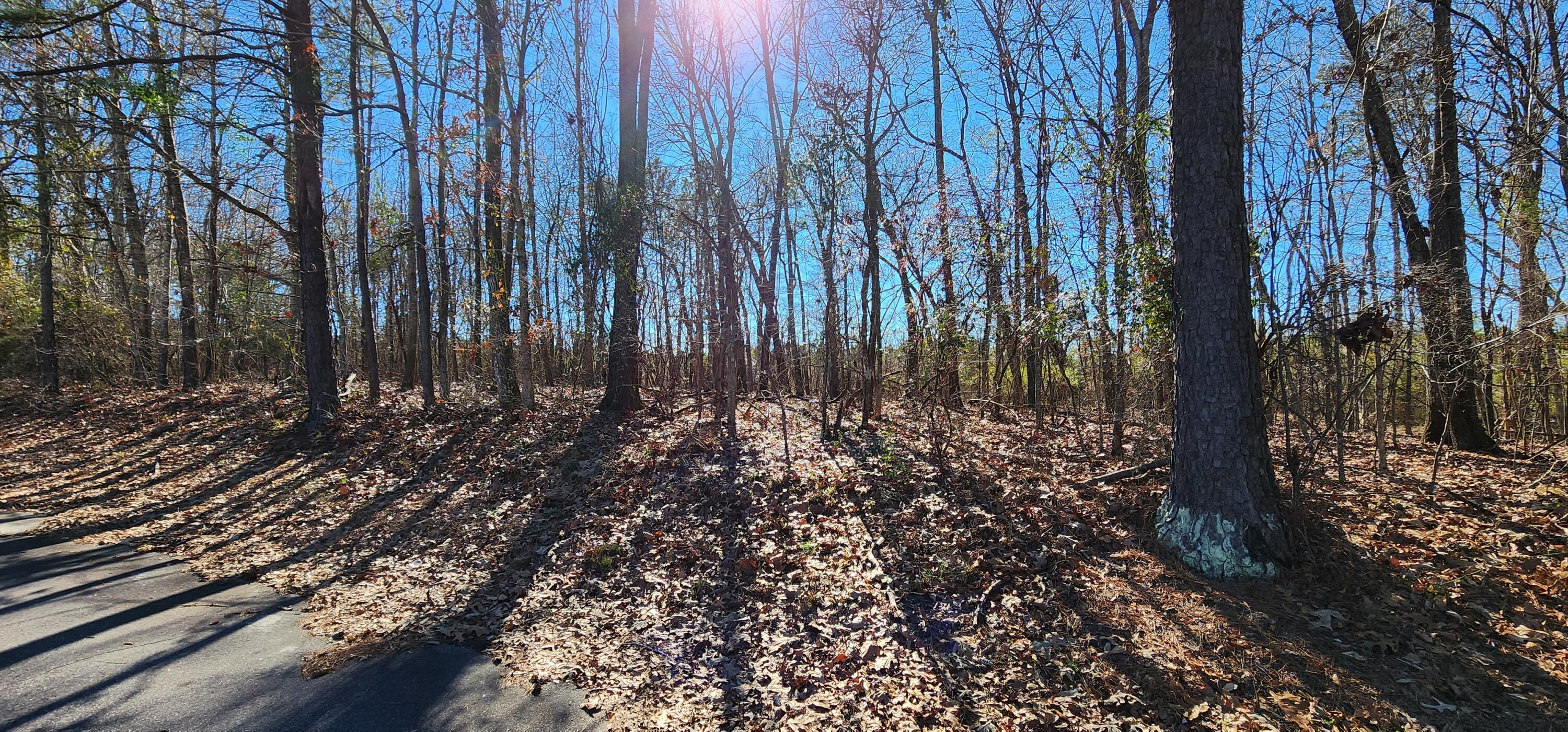 Lot 16 & 17 Ridgecrest Ct (2)