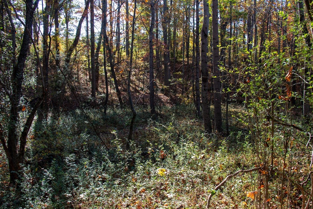 Merricks Drive Callands, VA 24530 - Photo 24 of 34 Gallery Image 24