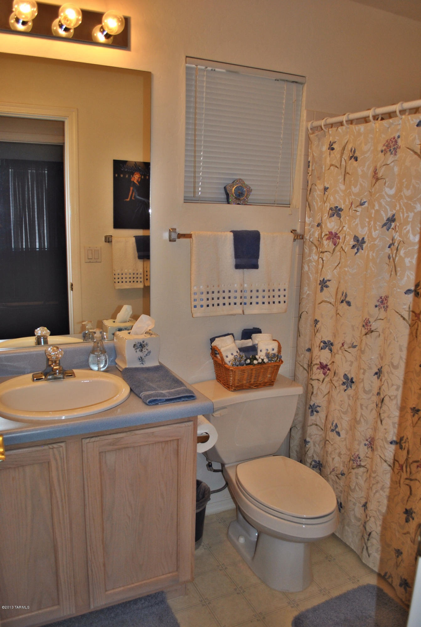 7731 South Lions Spring Way Tucson, AZ 85747 - Photo 14 of 16