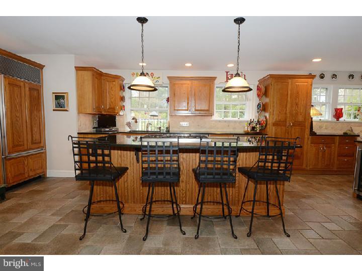 111 Righters Mill Road Penn Valley, PA 19072 - Photo 4 of 23 Kitchen
