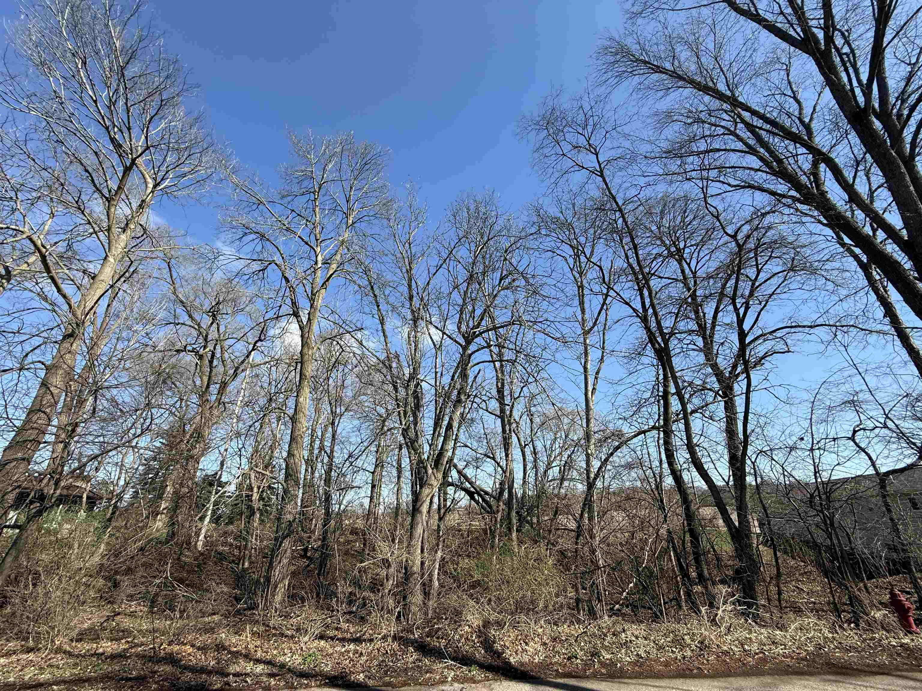 Lots 1-2 Breezy Point Pardeeville, WI 53954 - Photo 1 of 14