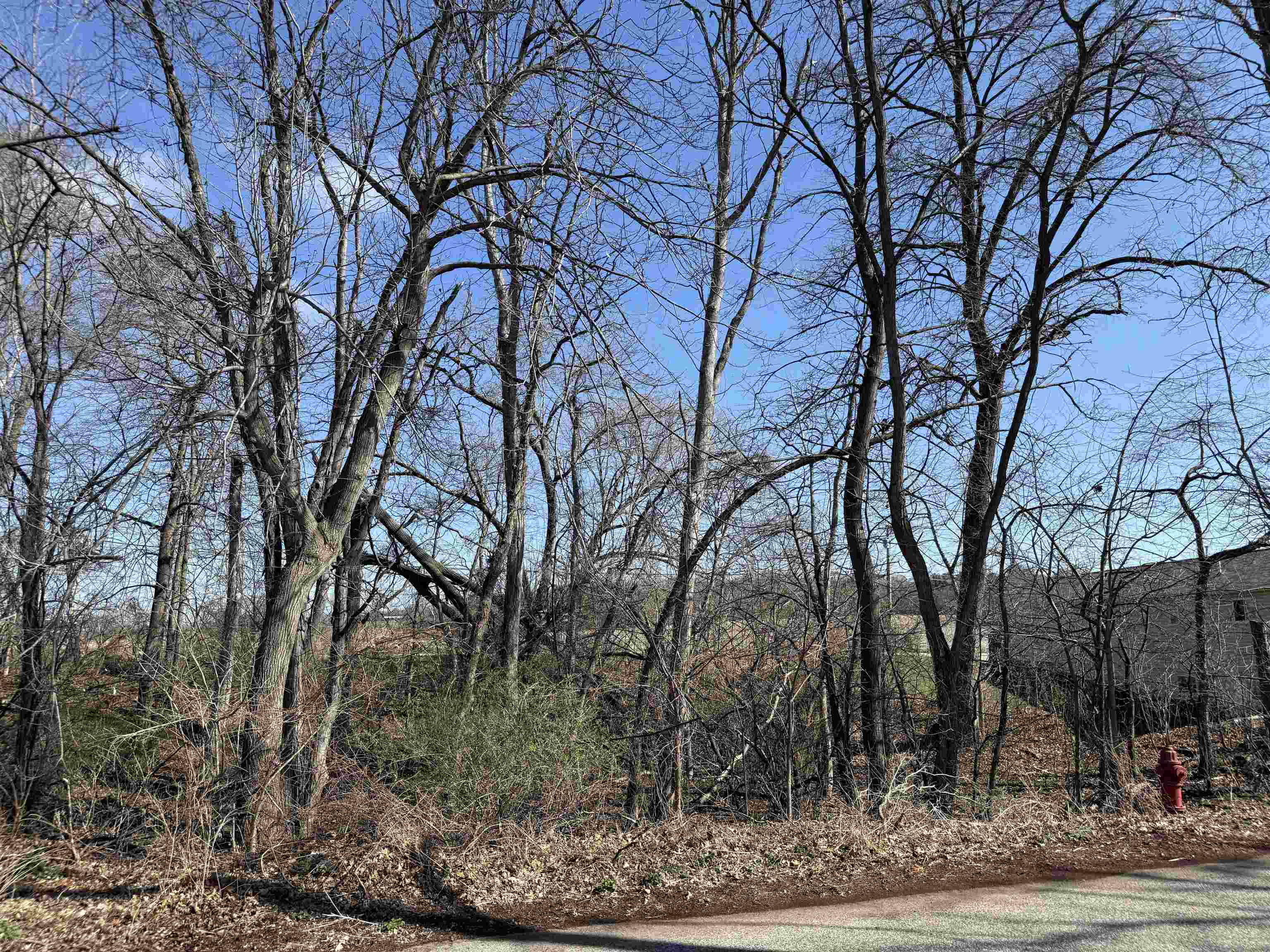 Lots 1-2 Breezy Point Pardeeville, WI 53954 - Photo 2 of 14