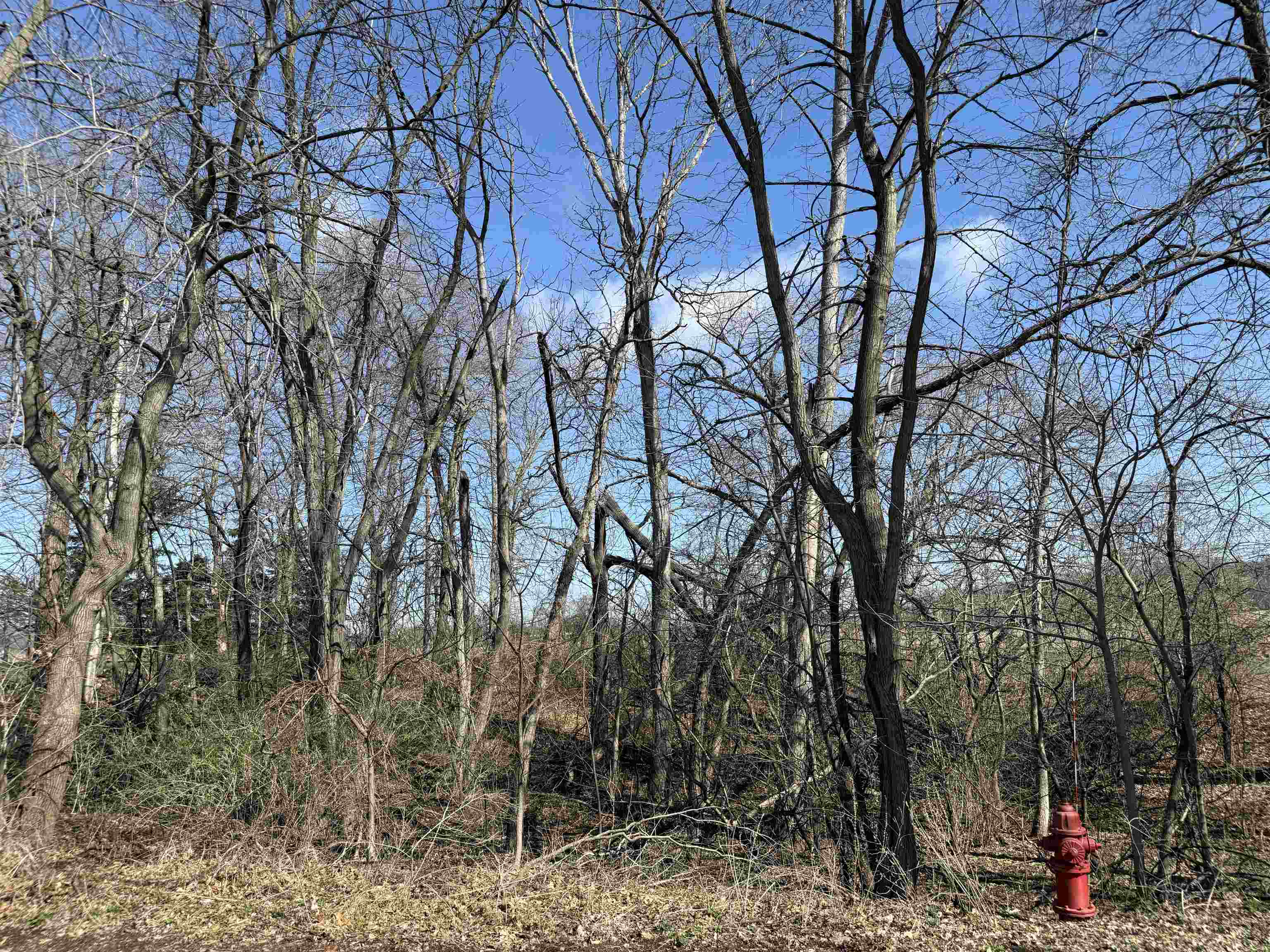Lots 1-2 Breezy Point Pardeeville, WI 53954 - Photo 6 of 14