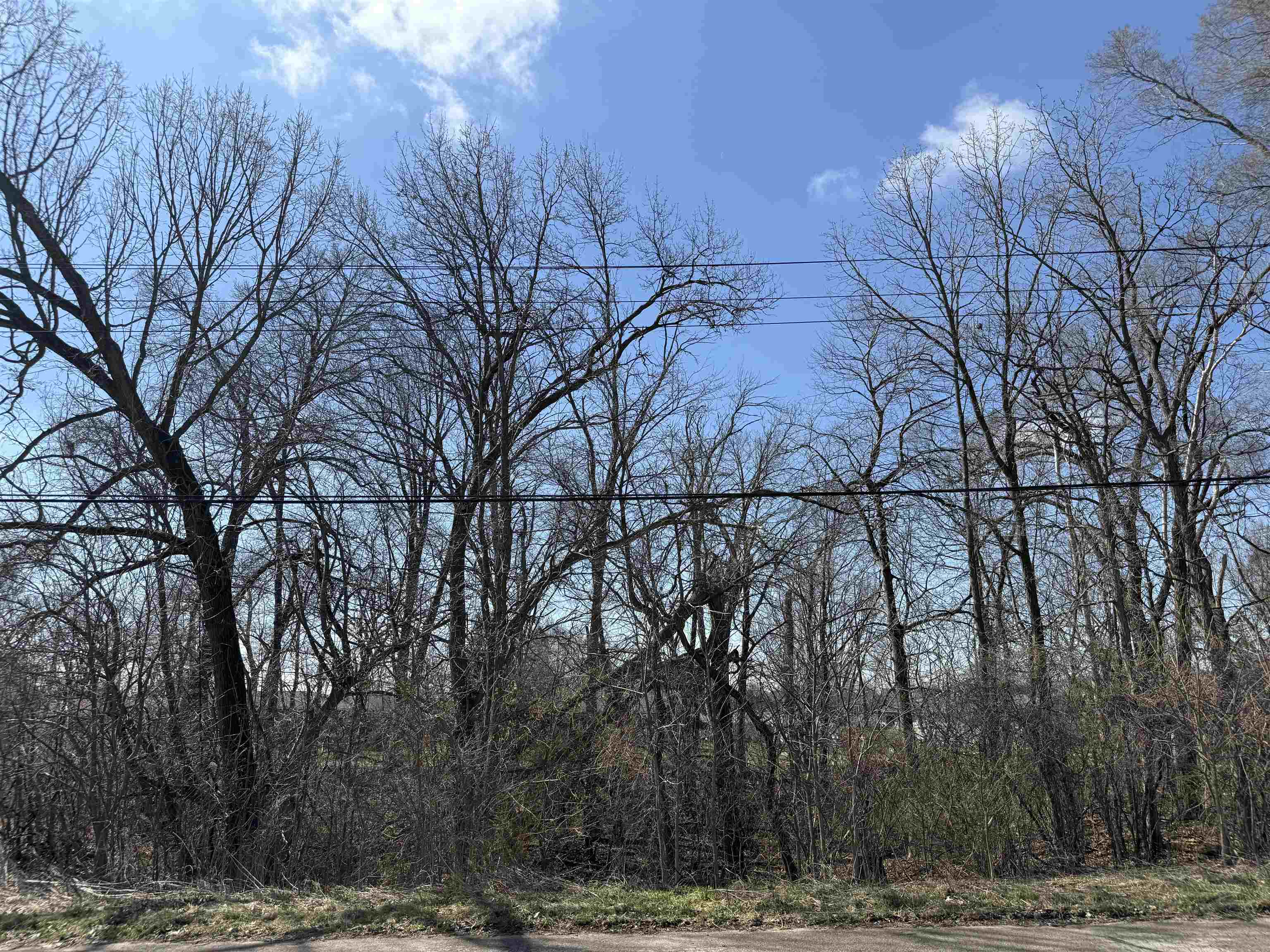 Lots 1-2 Breezy Point Pardeeville, WI 53954 - Photo 7 of 14