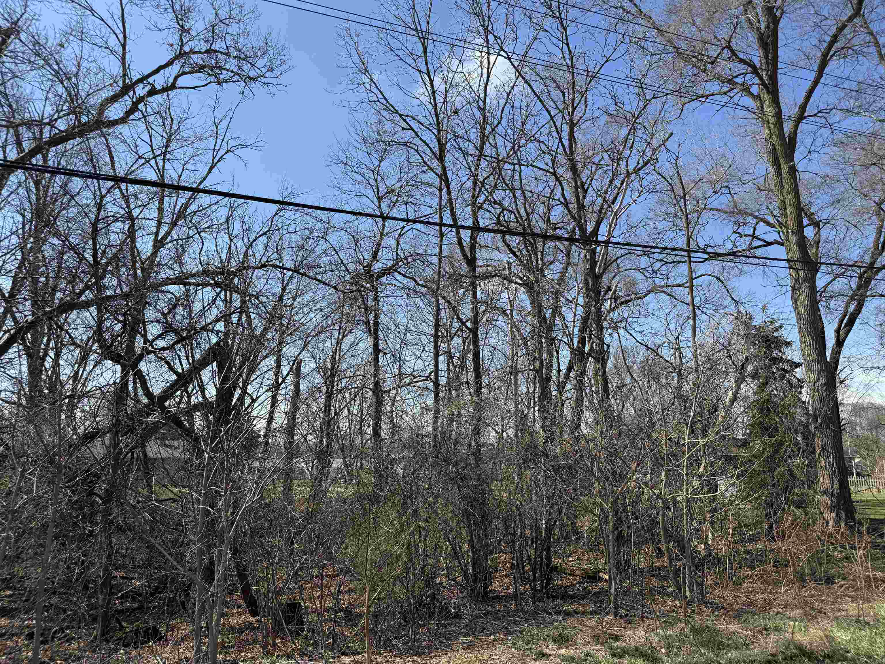 Lots 1-2 Breezy Point Pardeeville, WI 53954 - Photo 8 of 14