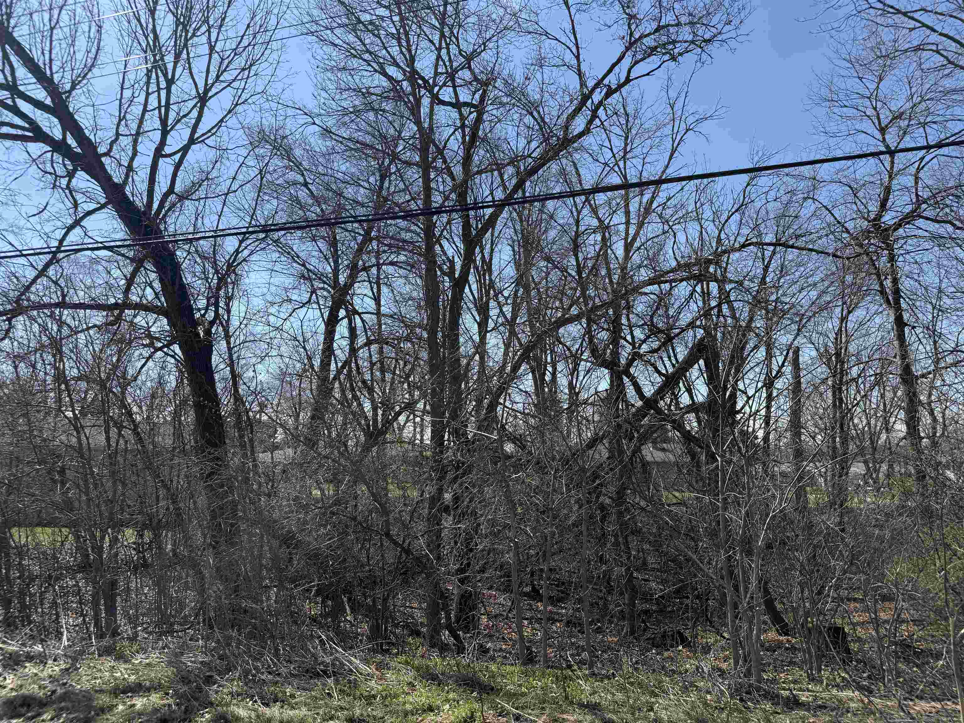 Lots 1-2 Breezy Point Pardeeville, WI 53954 - Photo 9 of 14
