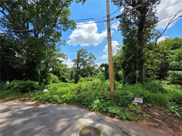 a view of a garden with plants