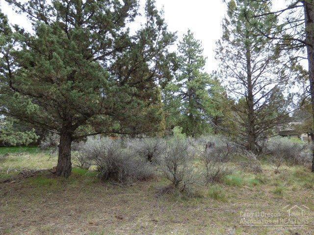 3202 McClellan Road Bend, OR 97702 - Photo 3 of 25 a view of a forest filled with trees