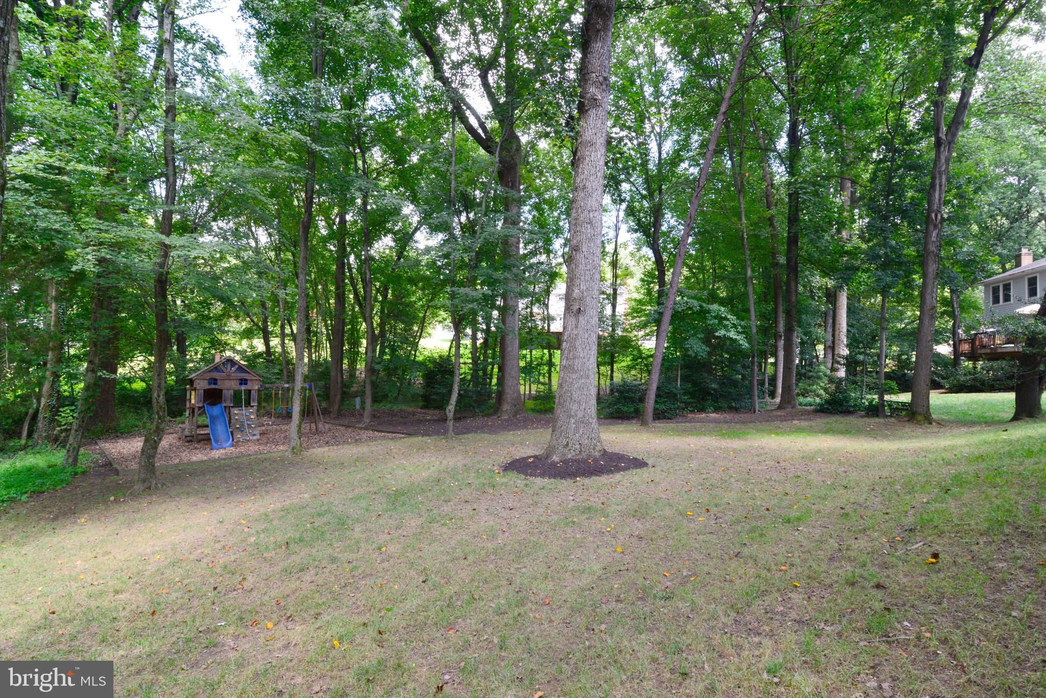 11617 Quail Ridge Court Reston, VA 20194 - Photo 32 of 36 View of Wooded Perimeter.