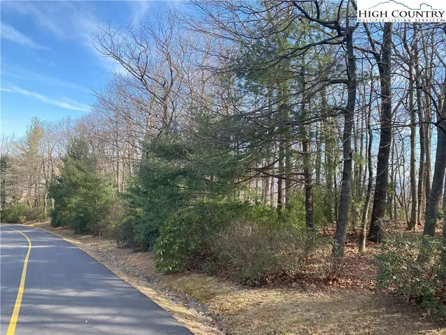 $65,000 | Troon Avenue, Unit 178, Thurmond, NC 28683