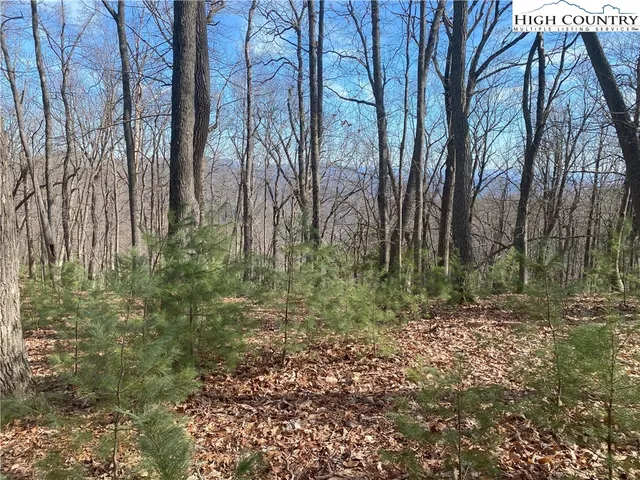 $65,000 | Troon Avenue, Unit 178, Thurmond, NC 28683