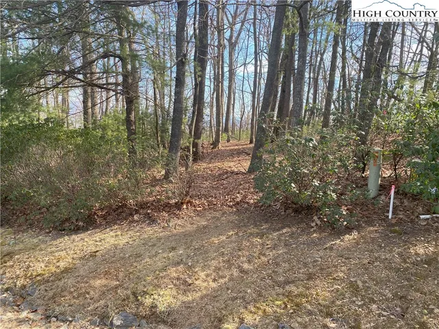 $65,000 | Troon Avenue, Unit 178, Thurmond, NC 28683