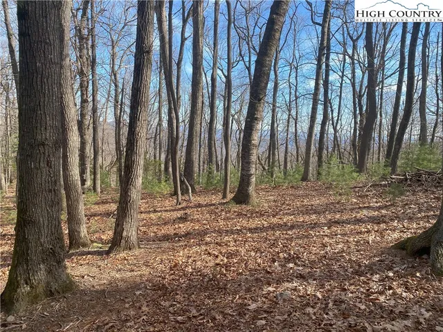 $65,000 | Troon Avenue, Unit 178, Thurmond, NC 28683