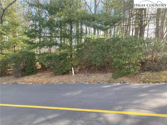 $65,000 | Troon Avenue, Unit 178, Thurmond, NC 28683