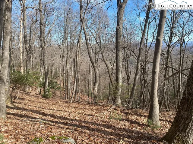 $65,000 | Troon Avenue, Unit 178, Thurmond, NC 28683