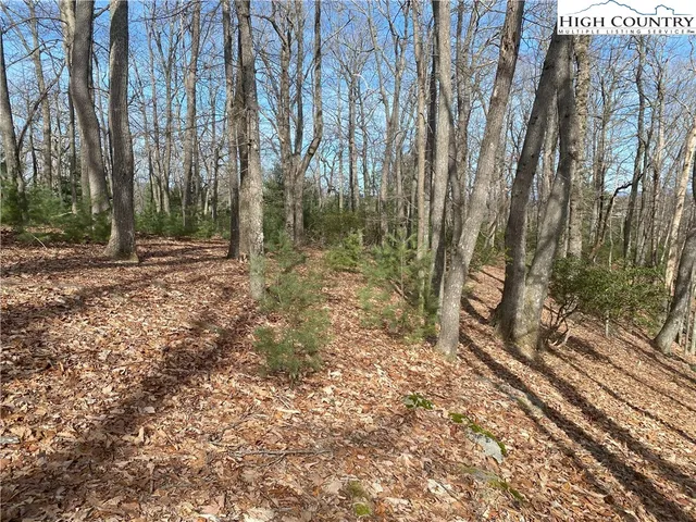 $65,000 | Troon Avenue, Unit 178, Thurmond, NC 28683