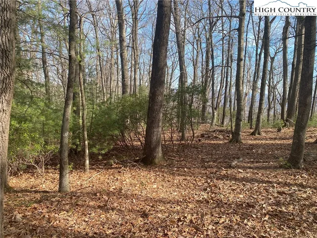 $65,000 | Troon Avenue, Unit 178, Thurmond, NC 28683