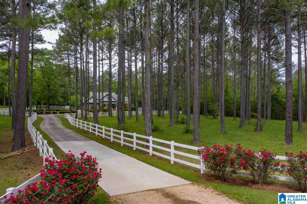 1239 Alex Mill Road Montevallo, AL 35115 - Photo 4 of 50