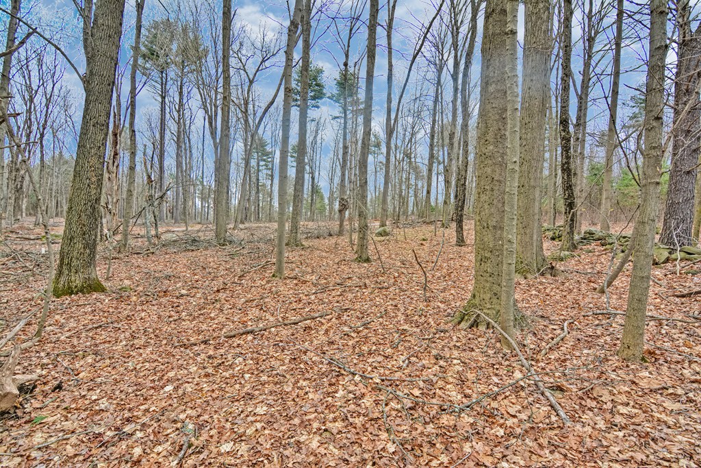 0 Warren Road Brimfield, MA 01010 - Photo 2 of 2 Gallery Image 2