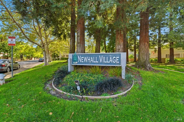 a view of a park with large trees