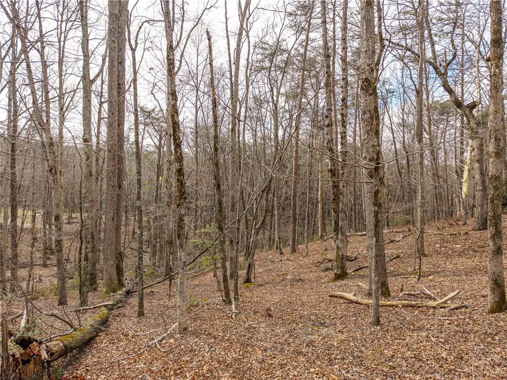 167 Henderson Mountain Road Jasper, GA 30143 - Photo 4 of 22 Gallery Image 4