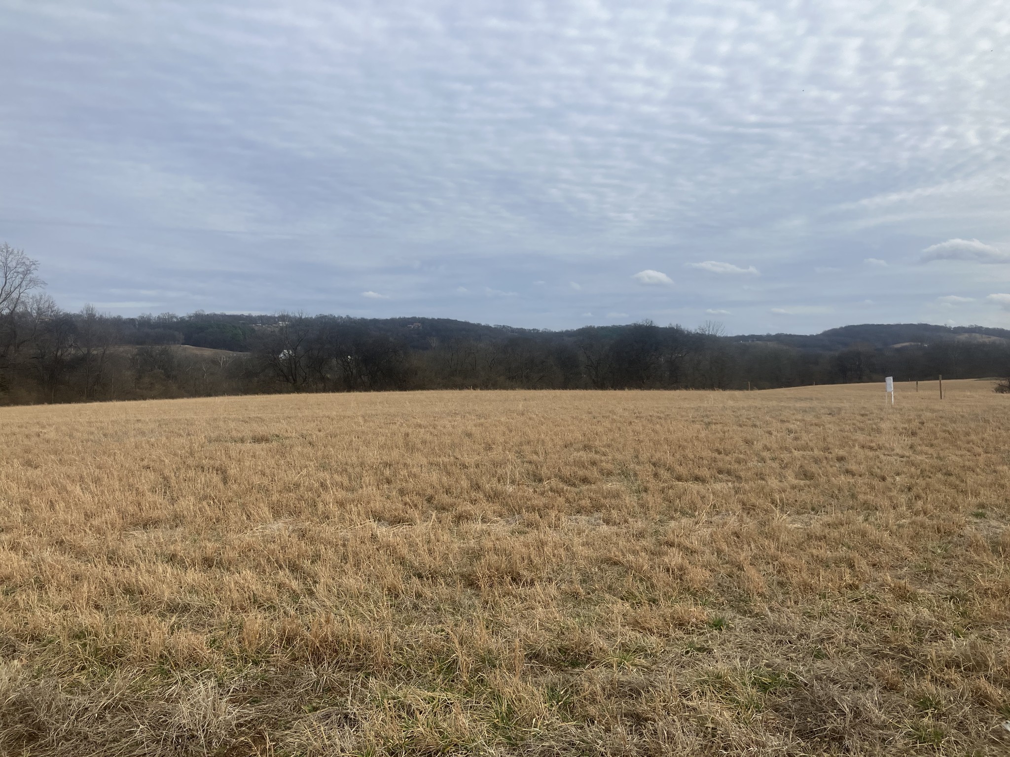7 Southport Road Mount Pleasant, TN 38474 - Photo 2 of 6 a view of lake