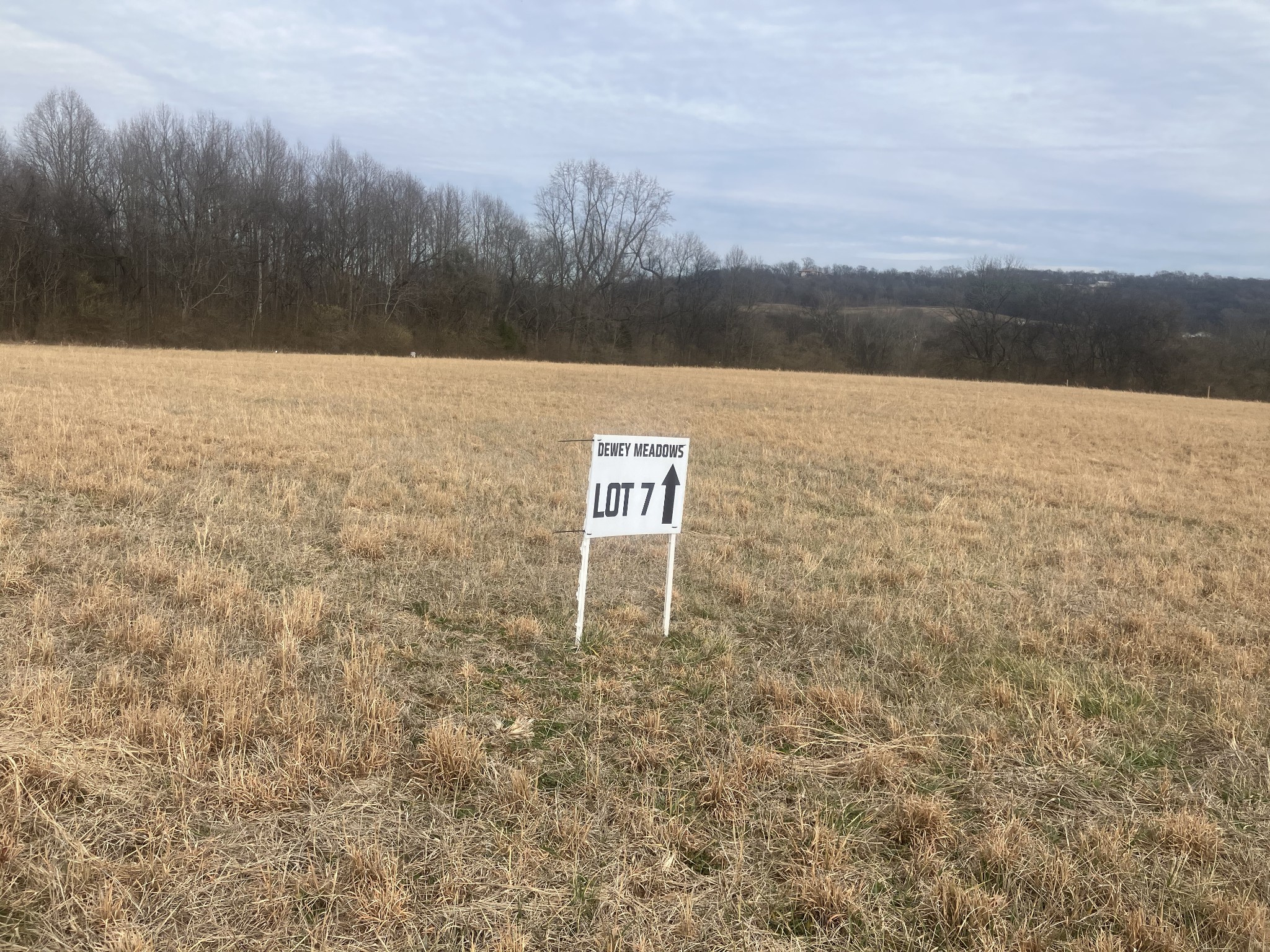 7 Southport Road Mount Pleasant, TN 38474 - Photo 3 of 6 a view of a lake view