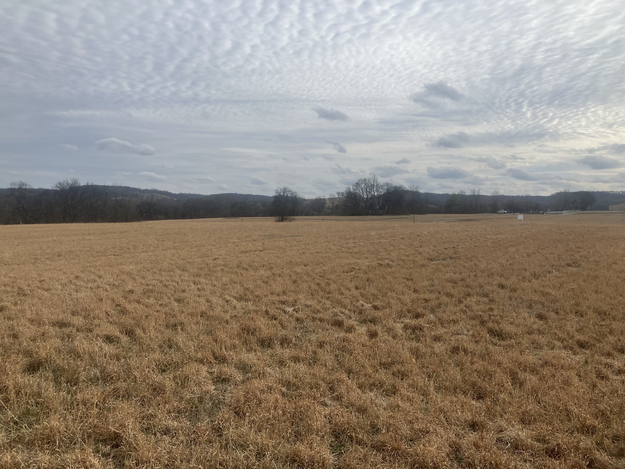 7 Southport Road Mount Pleasant, TN 38474 - Photo 4 of 6 a view of an ocean