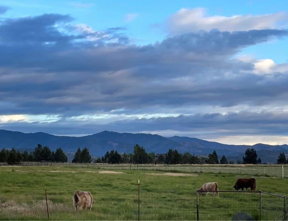 521 Holcomb Road Montague, CA 96064 - Photo 41 of 45 Gallery Image 41