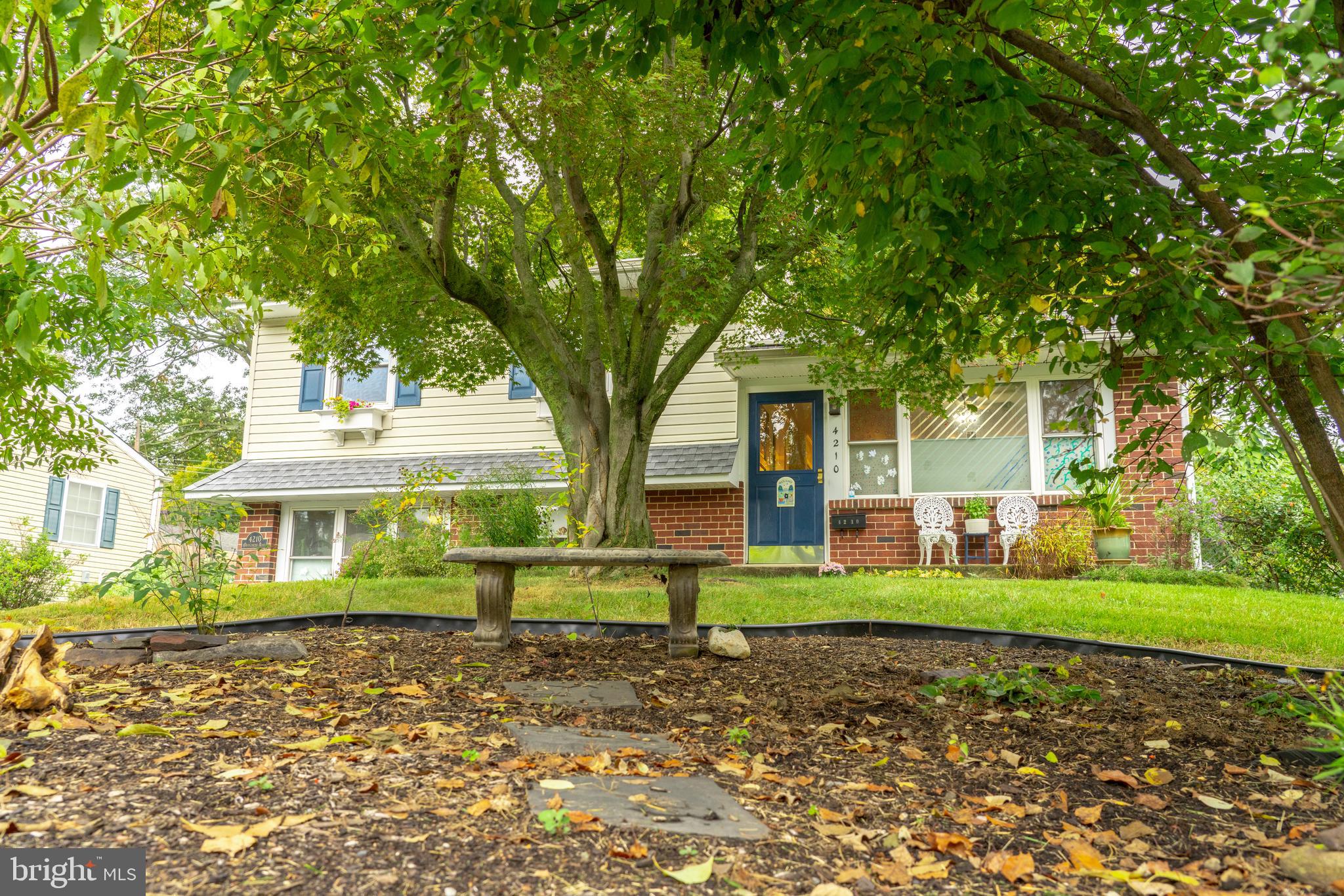 4210 Orangemans Road Hatboro, PA 19040 - Photo 3 of 23 Gorgeous Tree