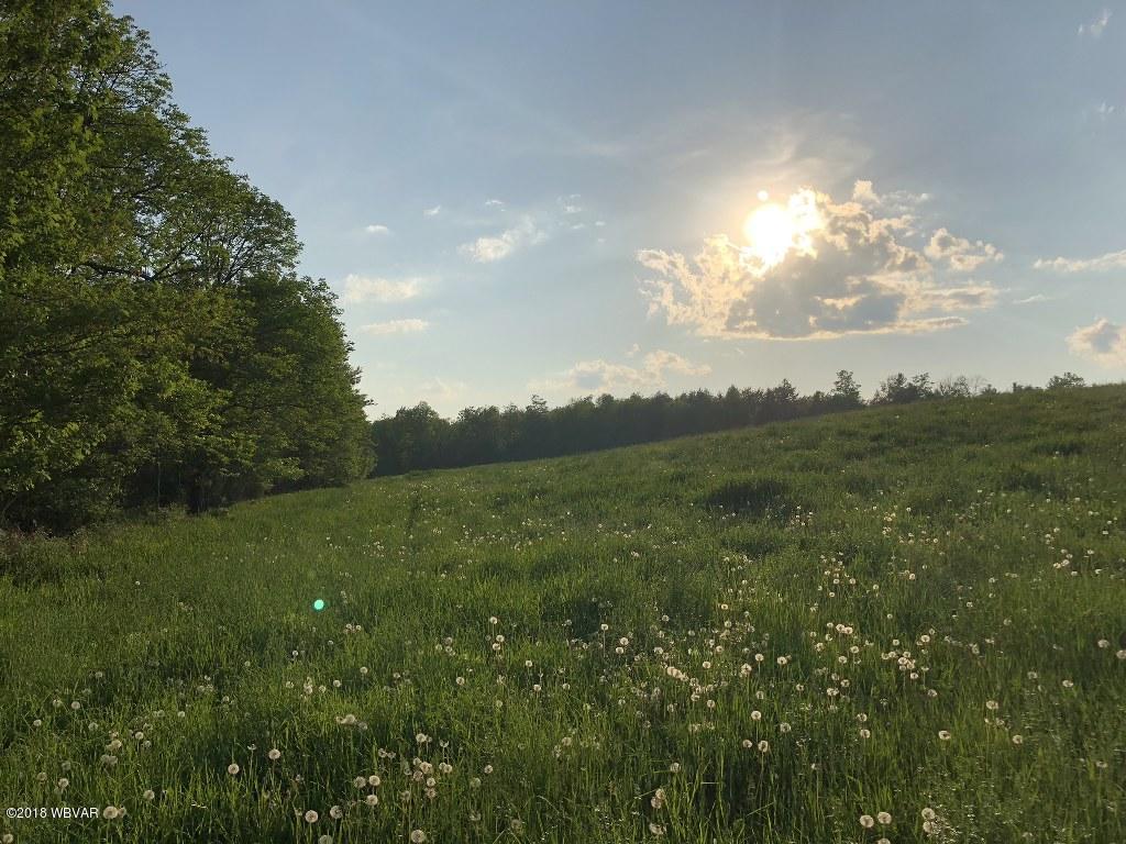 IMG_0004 (16)_1024x768