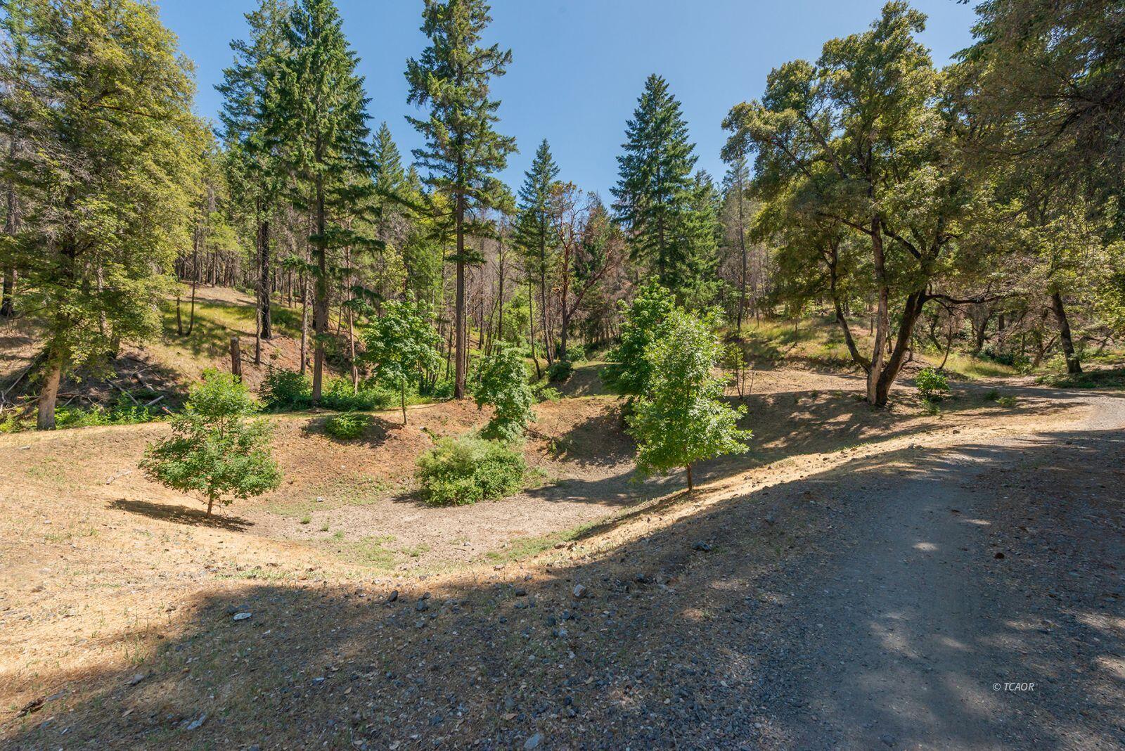 1004 Friedrich Road Burnt Ranch, CA 95527 - Photo 30 of 50 IMAGE 3
