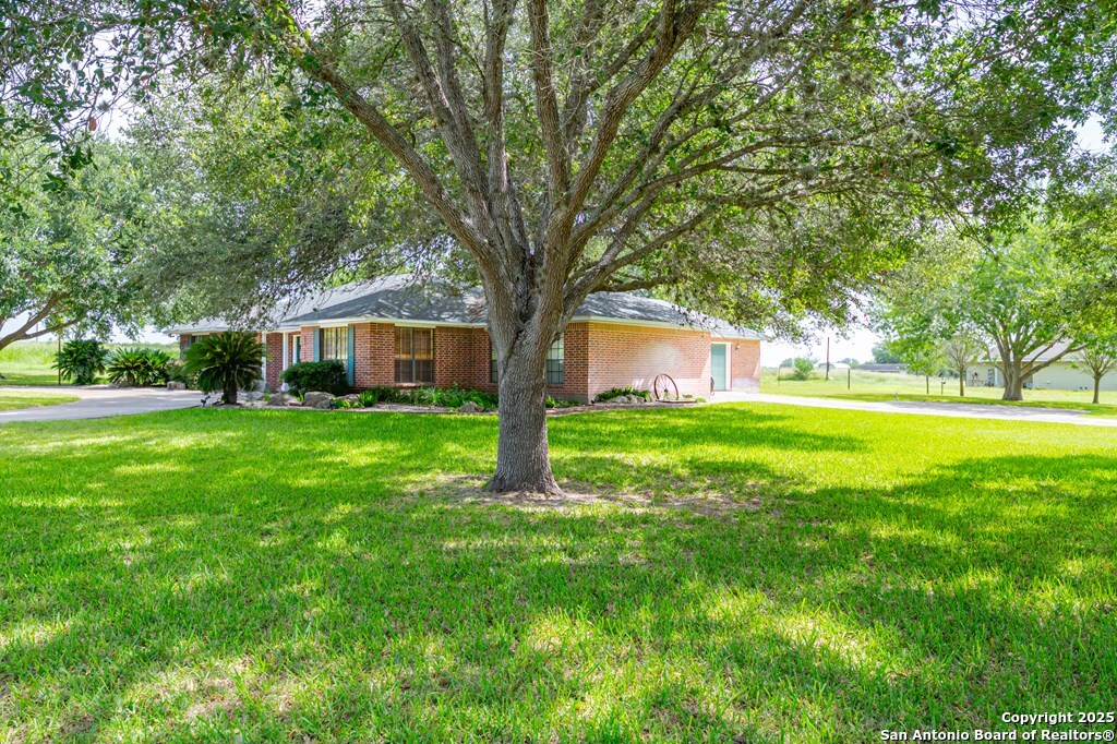 10416 7th Street Pettus, TX 78146 - Photo 13 of 51