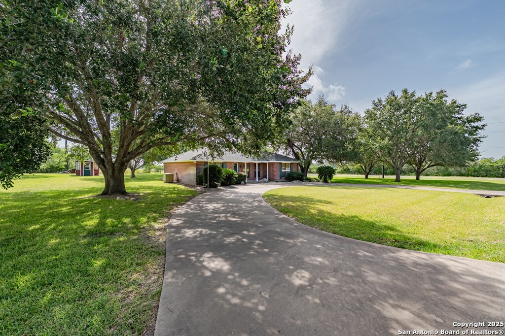 10416 7th Street Pettus, TX 78146 - Photo 40 of 51