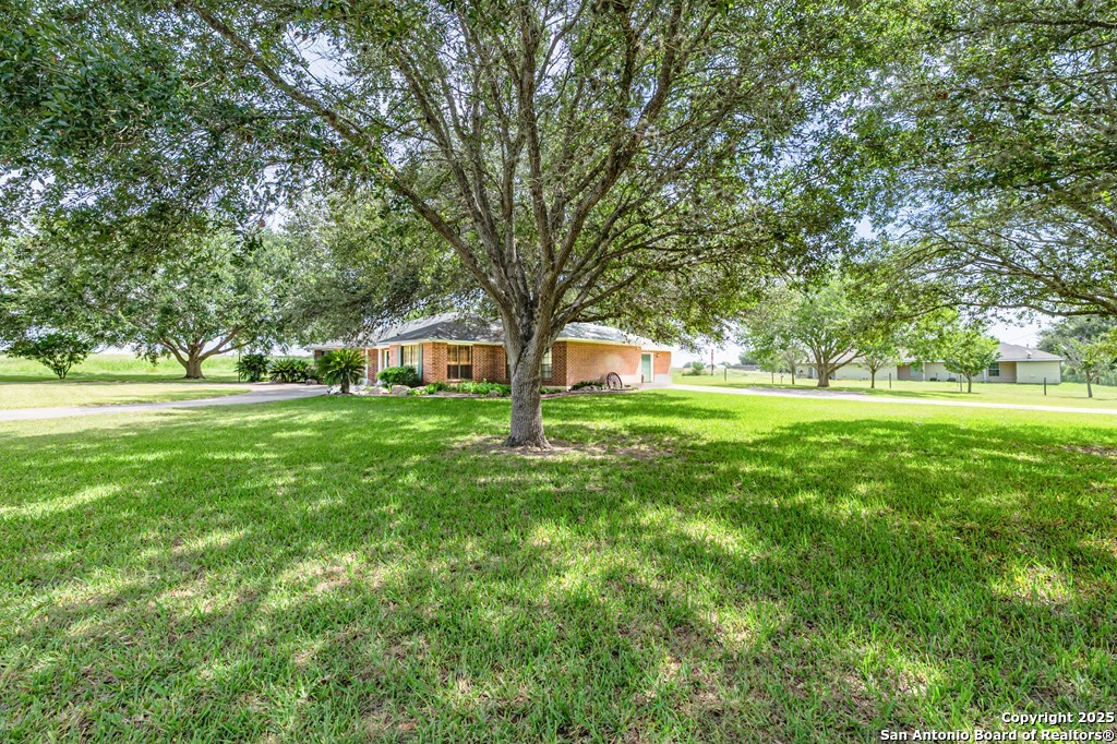 10416 7th Street Pettus, TX 78146 - Photo 46 of 51