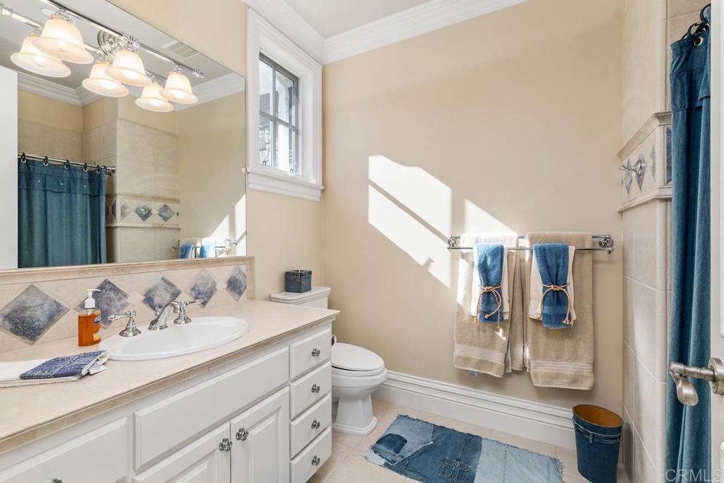 3056 Wildflower Drive Encinitas, CA 92024 - Photo 45 of 56 a bathroom with a sink a toilet and shower
