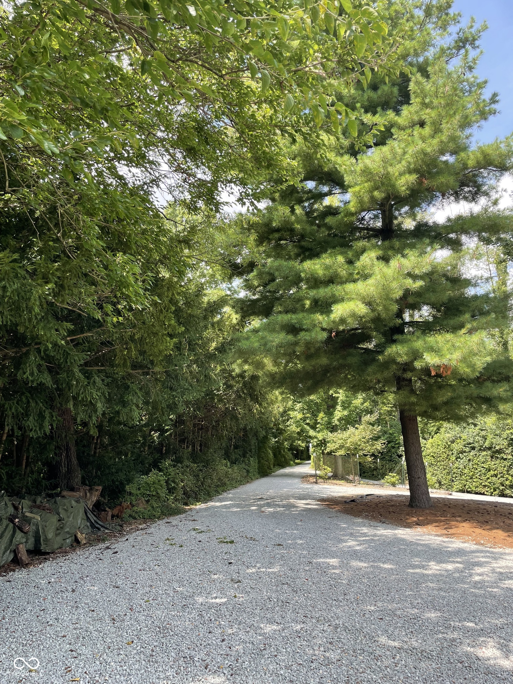 15896 Gray Road Noblesville, IN 46062 - Photo 3 of 62