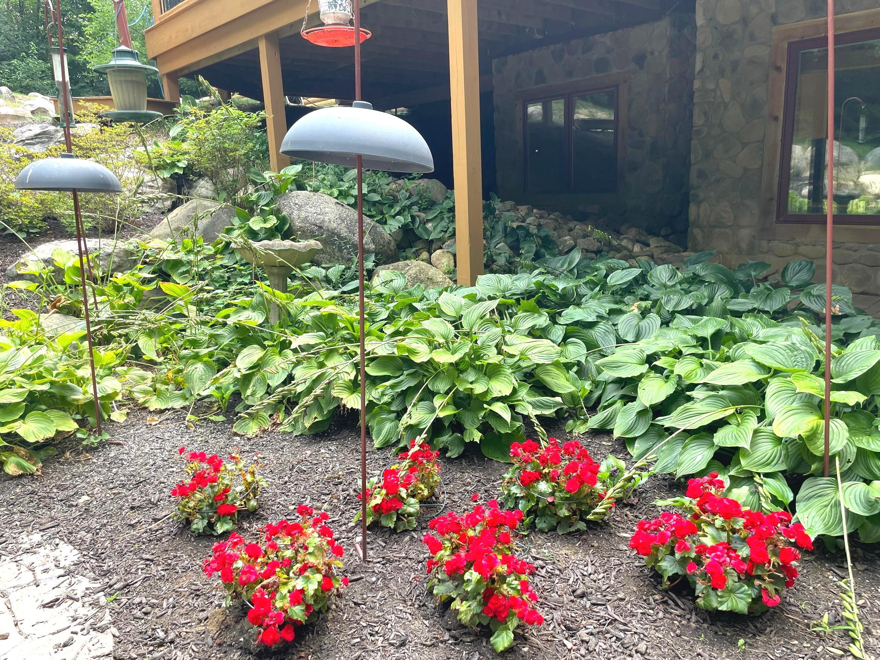 15896 Gray Road Noblesville, IN 46062 - Photo 53 of 62