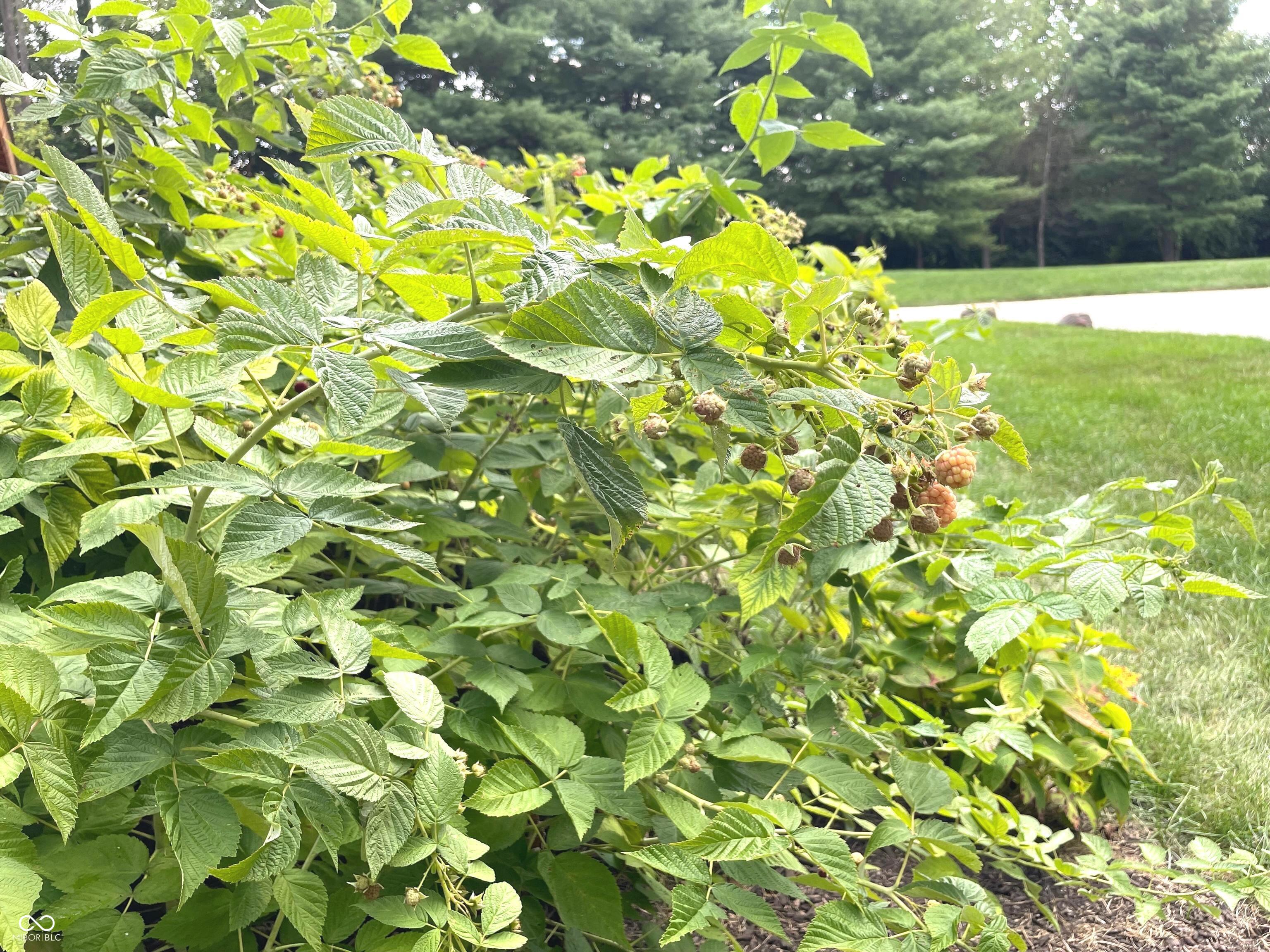15896 Gray Road Noblesville, IN 46062 - Photo 7 of 62