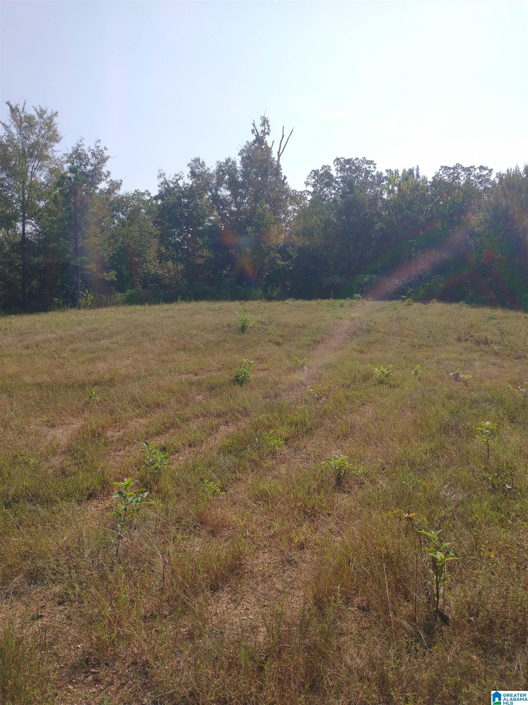 8100 Mckesie Street, Unit 81 ACRES Riverside, AL 35135 - Photo 2 of 18