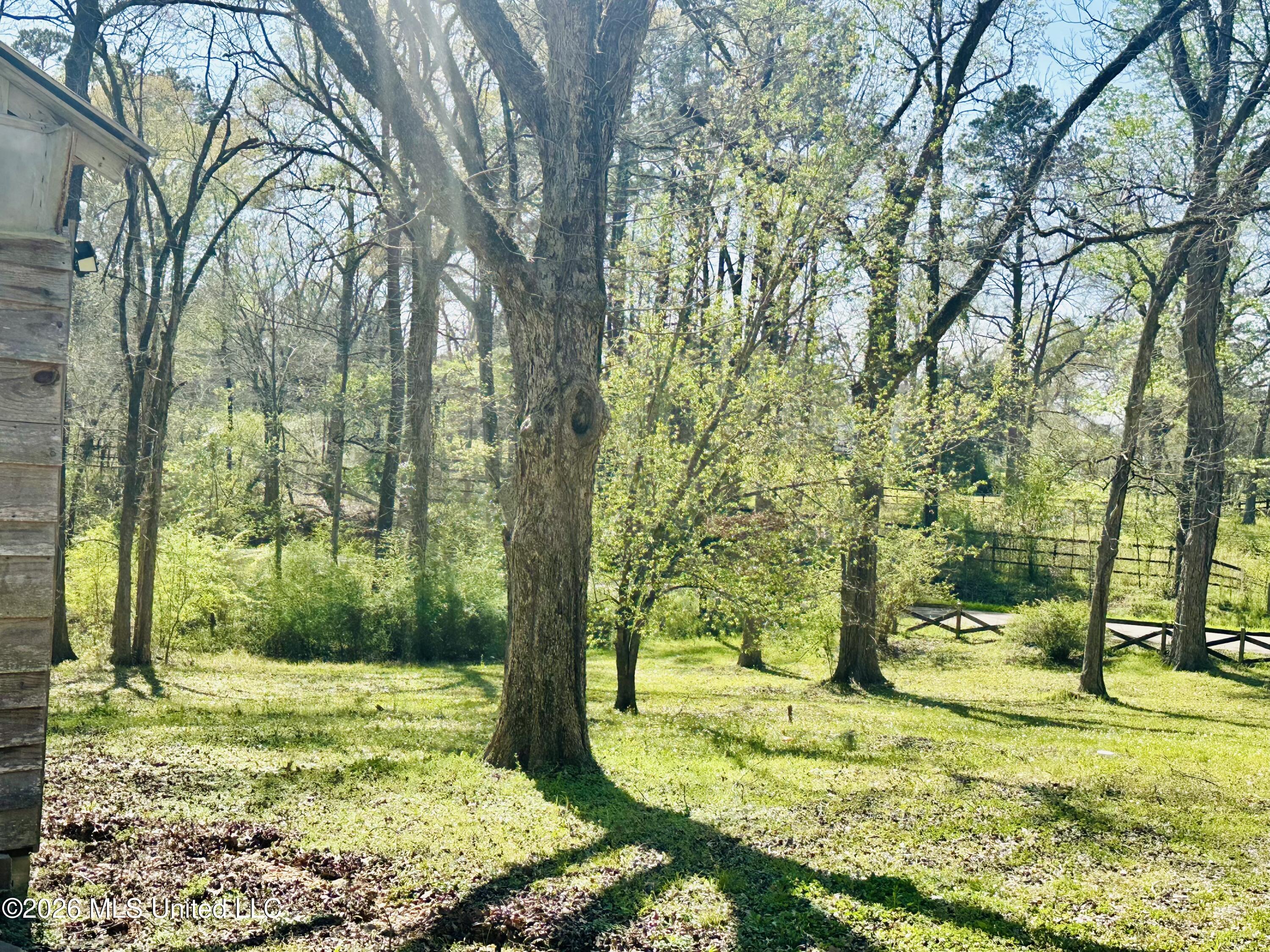 147 Clifford Road Natchez, MS 39120 - Photo 31 of 32 IMG_4427