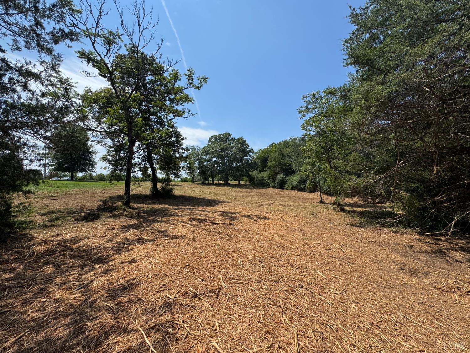 0 Watt Abbitt Road Appomattox, VA 24522 - Photo 1 of 19 Gallery Image 1