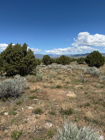 19 Old Highway 89, Unit 19 Spring City, UT 84662 - Photo 5 of 8